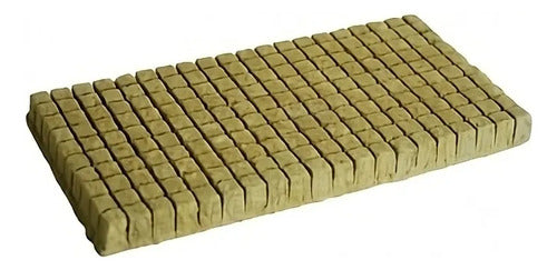 Bandeja 200 Cubos 2.5cm Lana De Roca- Kasvi