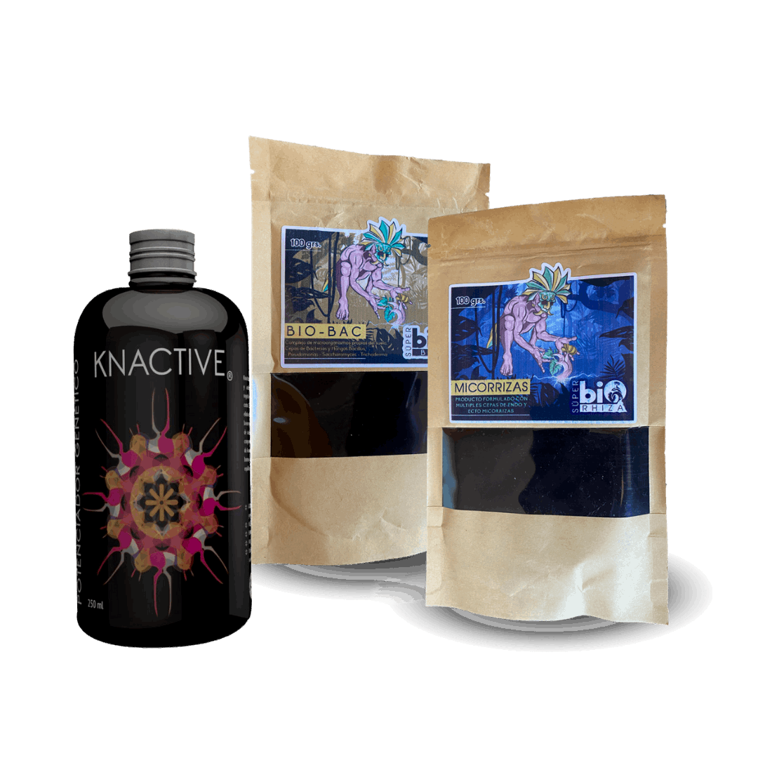 Knactive 250ml + Micorrizas 100g + Bio Bac 100g - Jhon Daime