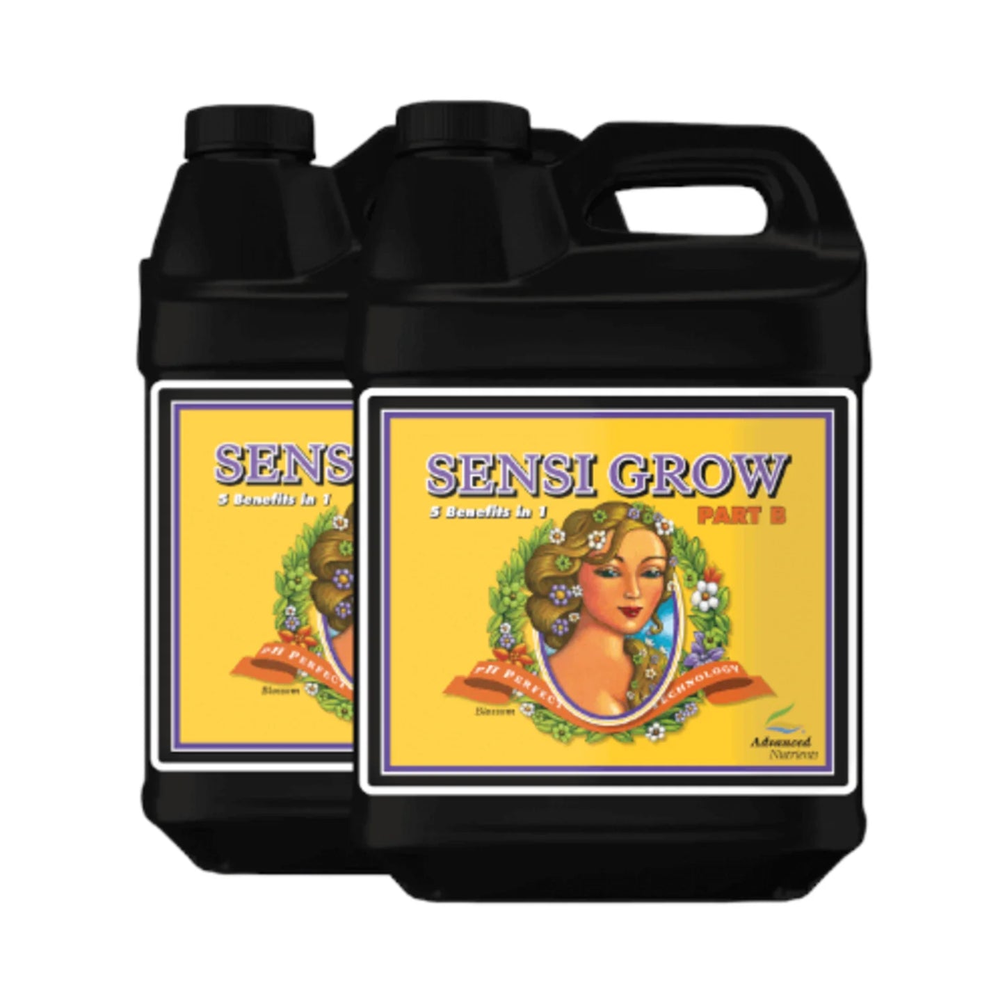 Ph Perfect Sensi Grow Part A+b 500ml