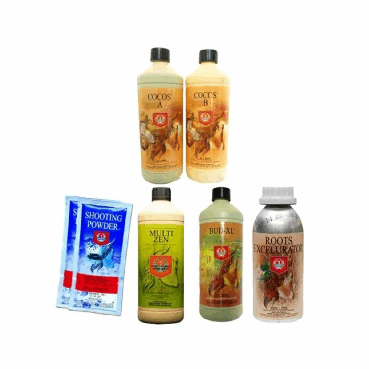 Starter Kit Coco - Jhon Daime