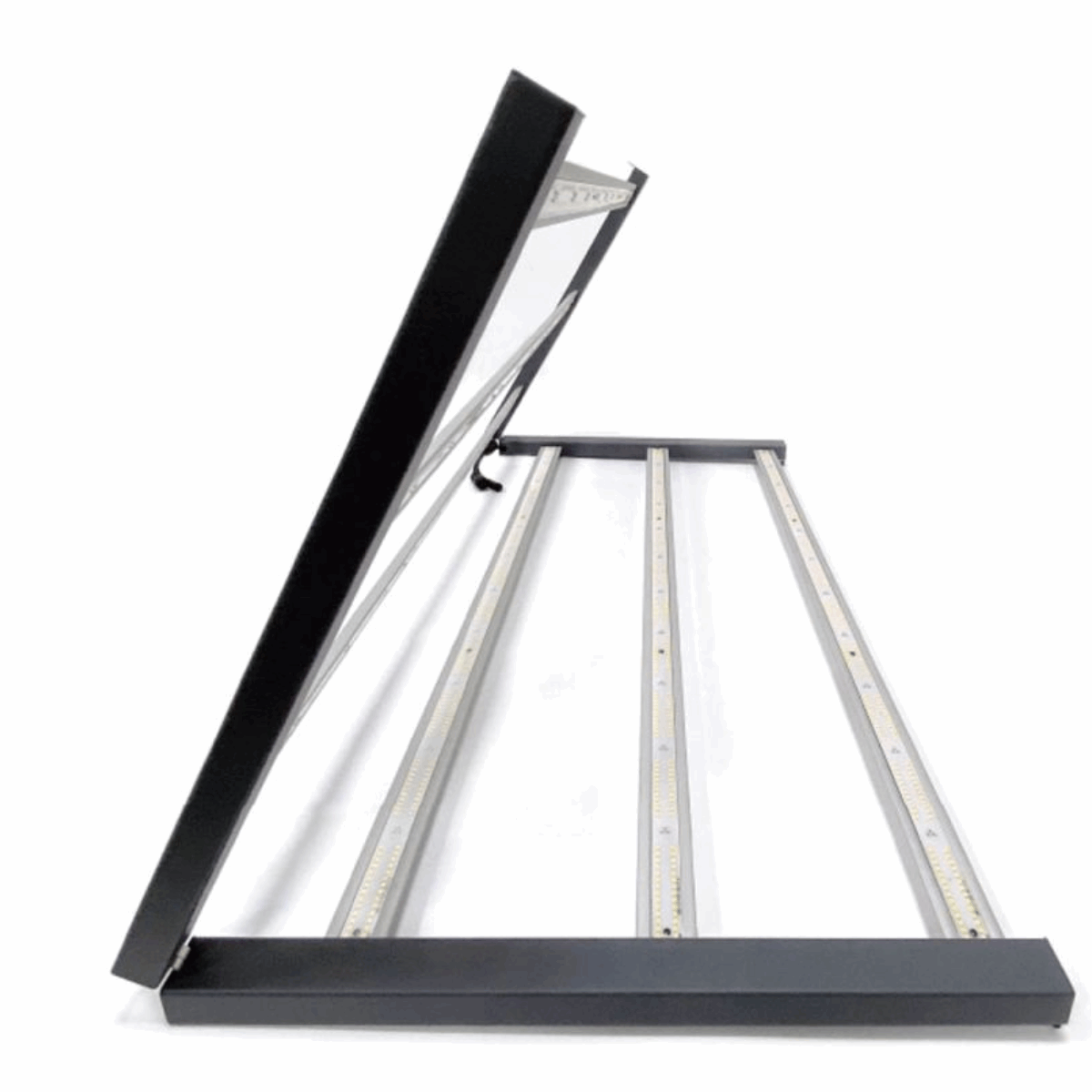 LED ZX 630W - Jhon Daime