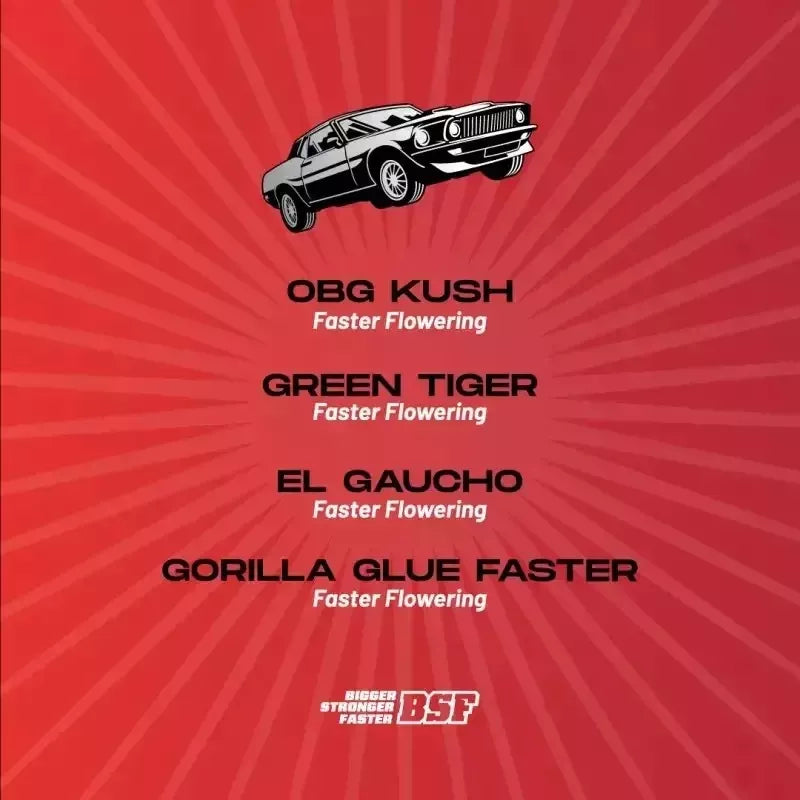 Faster And Furious Faster Mix X12