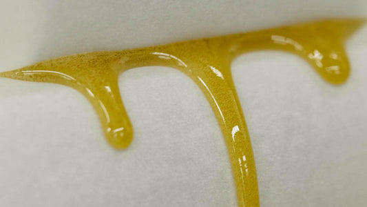 Rosin: Concentrado Sin Solvente