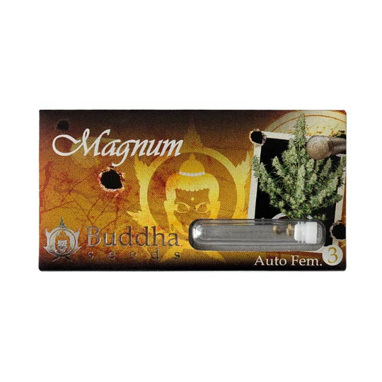 Magnum Auto x3 - Buddha Seeds