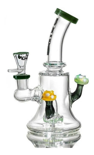 Calvo Glass Bong Rig Fungus Para Rosin
