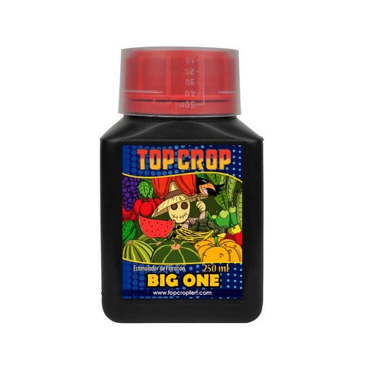 Big One 250ml