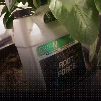Root Force 500ml Grotek