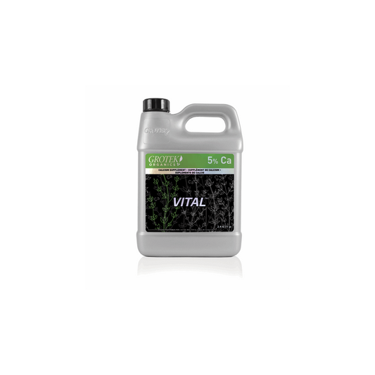 Vital 500ml