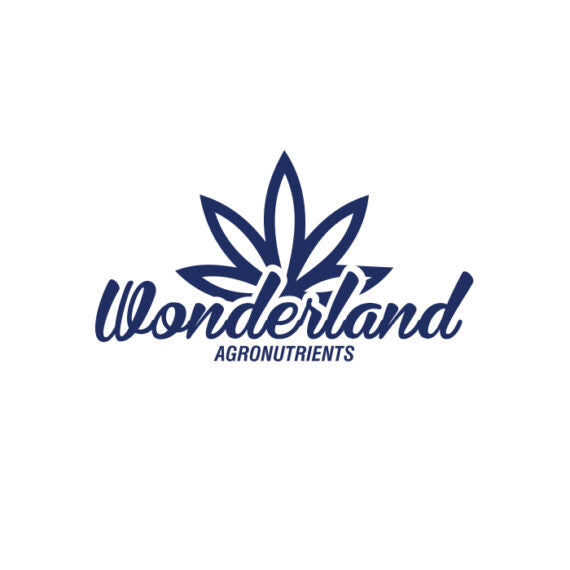 MICORRIZA 120G-WONDERLAND