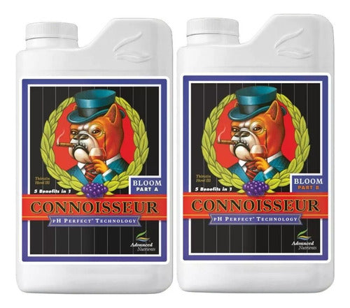 Ph Perfect Connoisseur Bloom A+B 1L