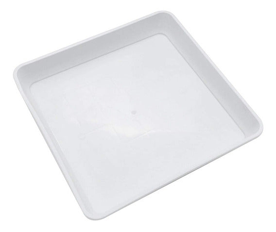 Plato 11L - Jhon Daime